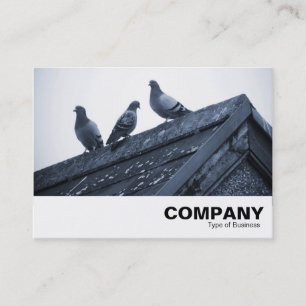 Carte De Visite Trois pigeons sur un toit