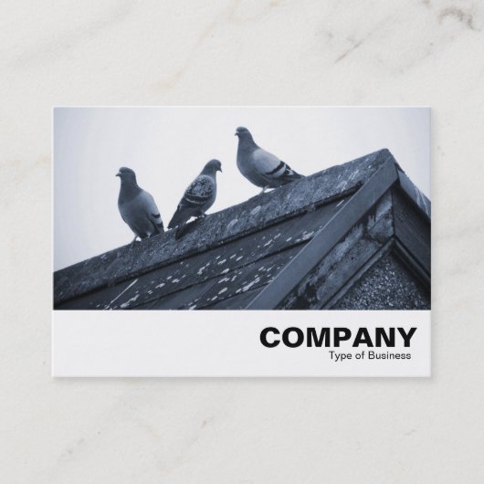 Carte De Visite Trois pigeons sur un toit (Devant)