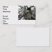 Carte De Visite Tronçon (Devant / Derrière)