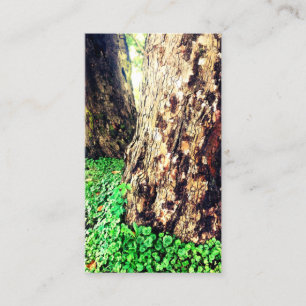 Carte De Visite troncs d'arbre