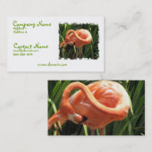 Carte de visite tropical de Flamant rose (Devant / Derrière)