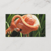 Carte de visite tropical de Flamant rose (Dos)