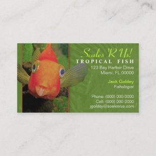Carte de visite tropical de poissons