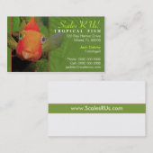 Carte de visite tropical de poissons (Devant / Derrière)