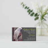 Carte de visite tropical d'oiseaux (Debout devant)