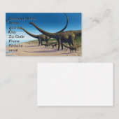 Carte De Visite Troupeau de Diplodocus (Devant / Derrière)