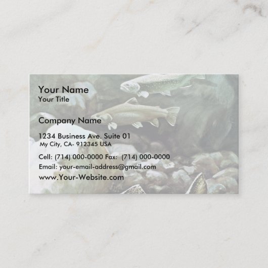Carte De Visite Truite de Brook (Devant)