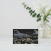 Carte De Visite Truite de ruisseau (Debout devant)