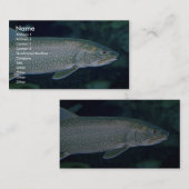 Carte De Visite Truite grise (Devant / Derrière)