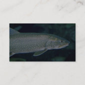 Carte De Visite Truite grise (Dos)