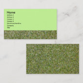 Carte De Visite Tuile verte (Devant / Derrière)