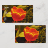 Carte de visite Tulipe orange (Devant / Derrière)