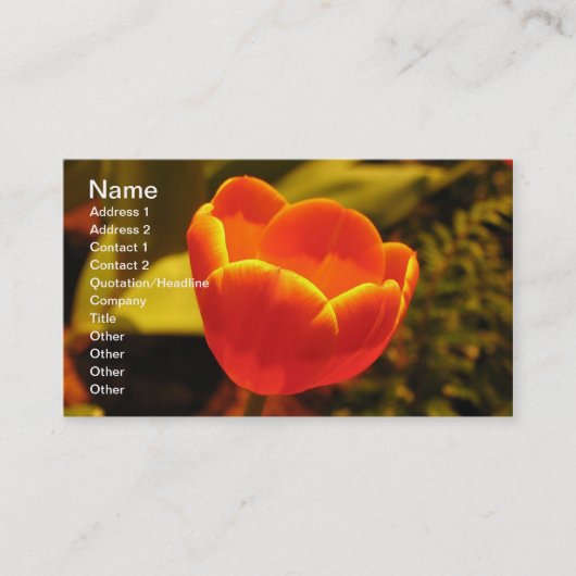 Carte de visite Tulipe orange (Devant)