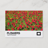 Carte De Visite Tulipes 02 (Devant)