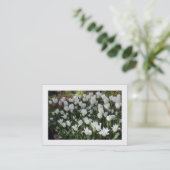 Carte De Visite Tulipes blanches (ordonnées) (Debout devant)