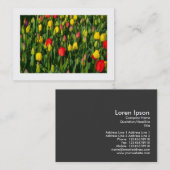 Carte De Visite Tulipes colorées (Devant / Derrière)