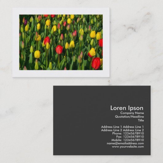 Carte De Visite Tulipes colorées (Devant / Derrière)