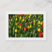 Carte De Visite Tulipes colorées (Devant)