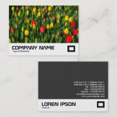 Carte De Visite Tulipes colorées (Devant / Derrière)