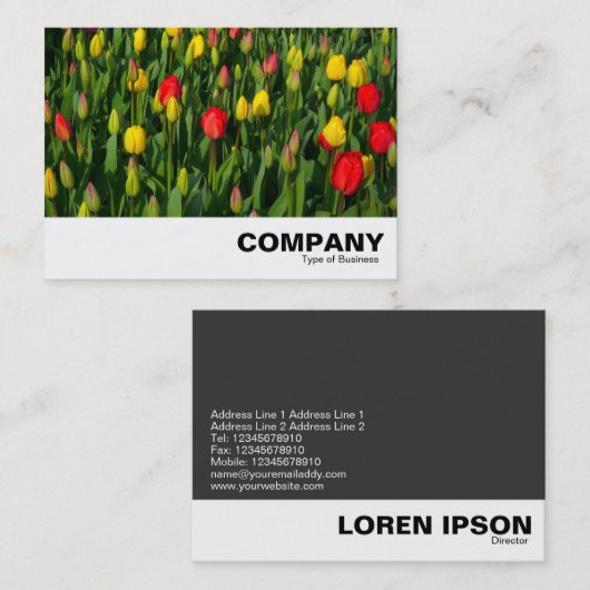 Carte De Visite Tulipes colorées (Devant / Derrière)