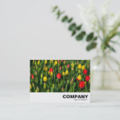 Carte De Visite Tulipes colorées (Debout devant)
