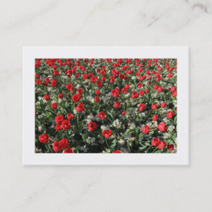Carte De Visite Tulipes rouges et Primroses (frontières)