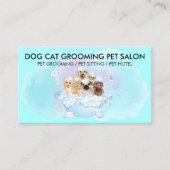 Carte De Visite Turquoise Blue Rose Pet Groomer chats chiens (Devant)