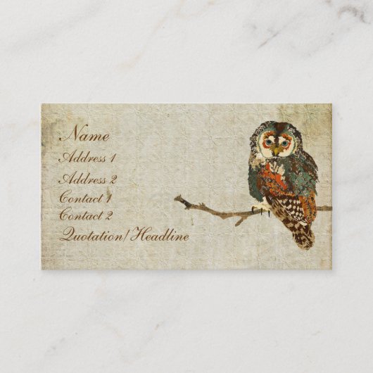 Carte de visite turquoise/étiquettes de hibou (Devant)