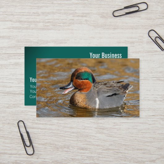 Carte De Visite Un canard Turquoise à ailes vertes chatté à l'étan (Devant/Arrière en situation)