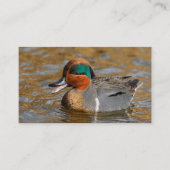 Carte De Visite Un canard Turquoise à ailes vertes chatté à l'étan (Devant)