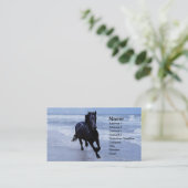 Carte De Visite Un cheval sauvage et libre (Debout devant)