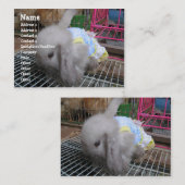 Carte De Visite Un lapin en robe (Devant / Derrière)