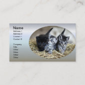 Carte De Visite Un trio de chatons nessonnés ensemble (Devant)