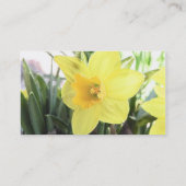 Carte De Visite Une jonquille jaune gaie (Dos)