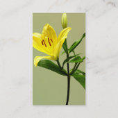 Carte De Visite Une Lys Jaune (Dos)