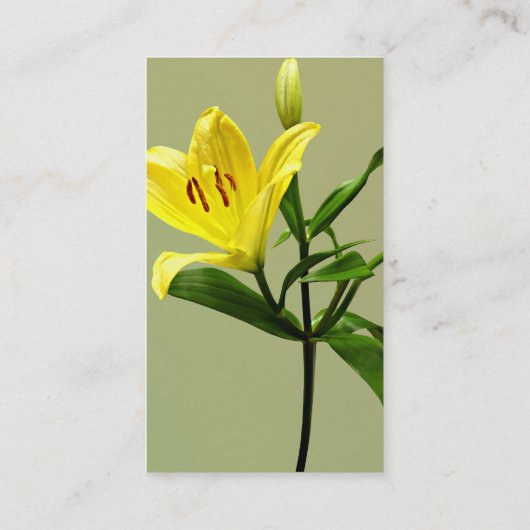 Carte De Visite Une Lys Jaune (Dos)