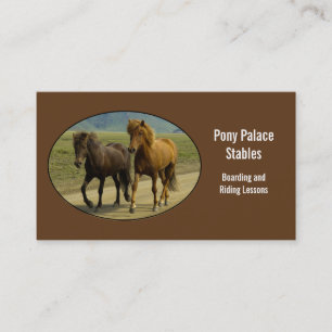 Carte De Visite Une paire de poneys islandais Brown