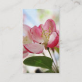 Carte De Visite Une pomme de printemps brillante s'épanouit (Dos)