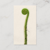 Carte De Visite Usine de Sundew (Dos)