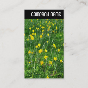 Carte De Visite V En-tête - Jonquilles/Narcisses