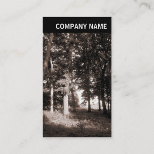 Carte De Visite V En-tête - Photo - Paysage de parc