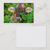 Carte De Visite Vache (Devant / Derrière)