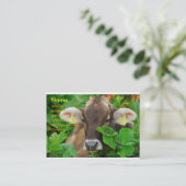 Carte De Visite Vache (Debout devant)