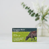 Carte De Visite Vache Brown alimentant sur l'herbe (Debout devant)