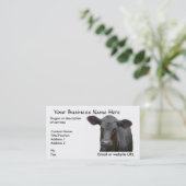 Carte De Visite Vache de boucherie noire d'Angus (Debout devant)