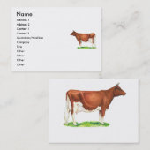 Carte De Visite Vache de Guernesey (Devant / Derrière)