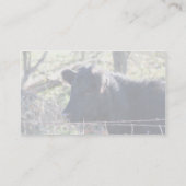 Carte De Visite Vache noire regardant hors de la barrière (Dos)