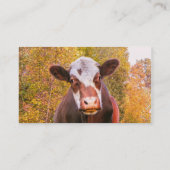 Carte De Visite Vache rouge curieuse (Dos)