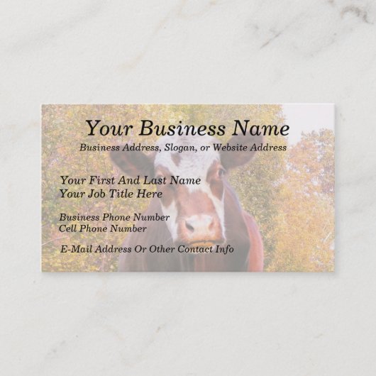 Carte De Visite Vache rouge curieuse (Devant)