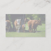 Carte De Visite Vaches (Dos)